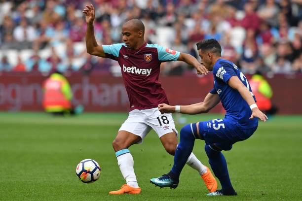 鸟似乎成了 鸟似乎成了