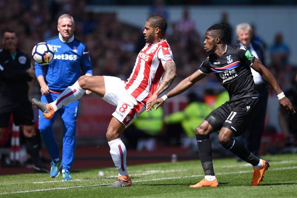 未来展望 未来展望